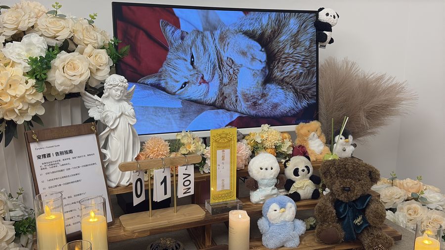 在告别厅安静地告别
