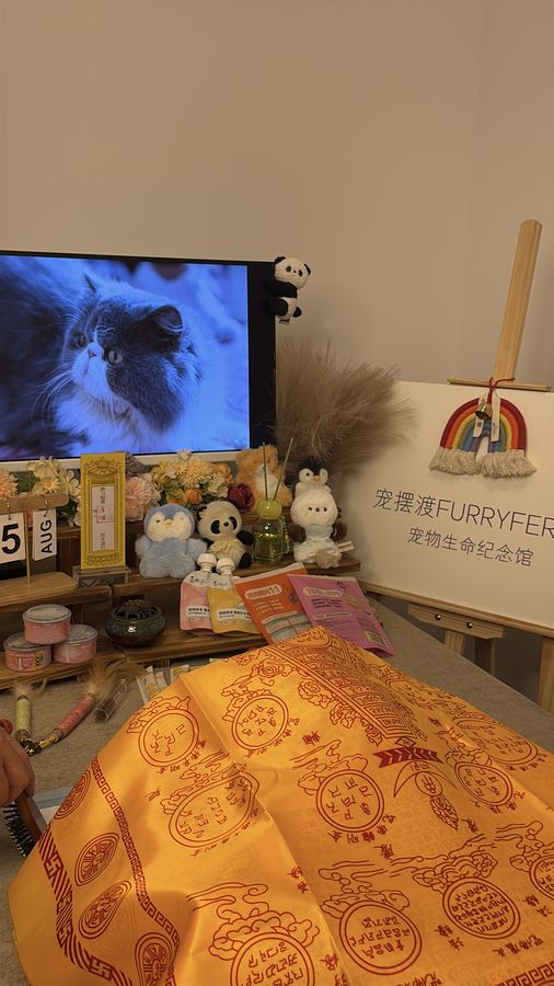 骨灰盒上的爪印